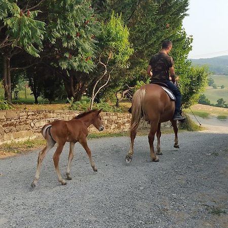 Agriturismo Corte Del Gallo Rivergaro Zewnętrze zdjęcie